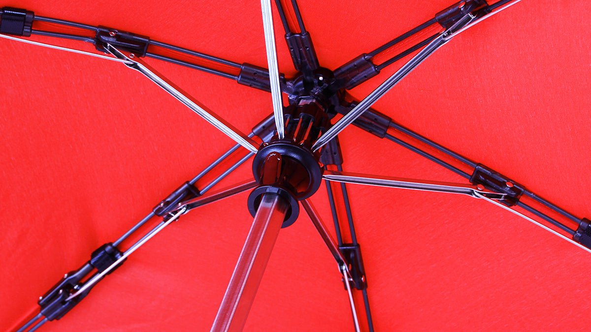 Heart of the Umbrella - Hedgehog Umbrella