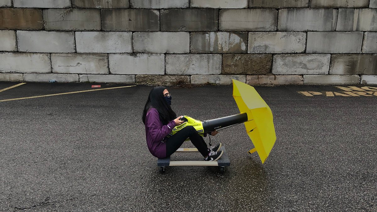Blue Collar Limousine - Hedgehog Umbrella