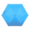 Canopy | Sky Blue - Hedgehog Umbrella