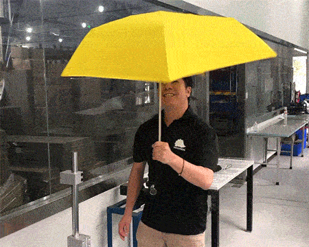 Extreme Wind Testing of the Hedgehog Umbrella 